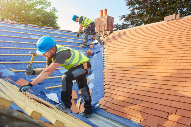 Best Skylight Installation and Repair  in Kenmar, PA